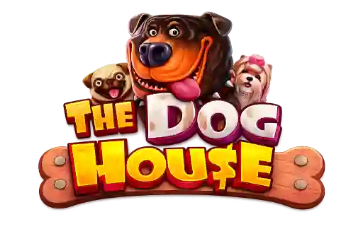 thedoghouse-ro.ro